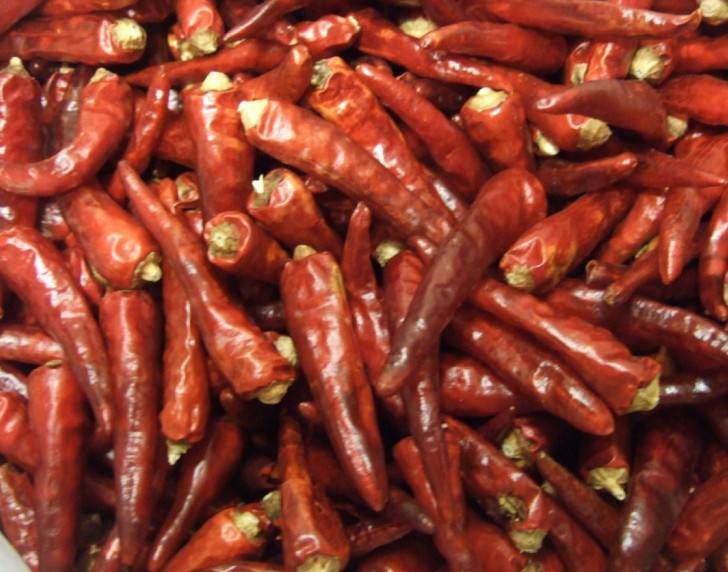 朝天椒批发