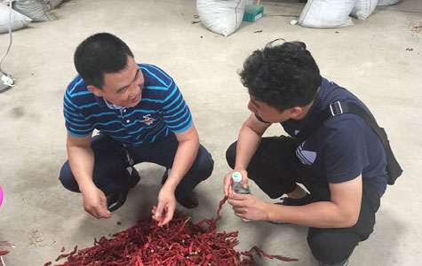 干制野山椒批发