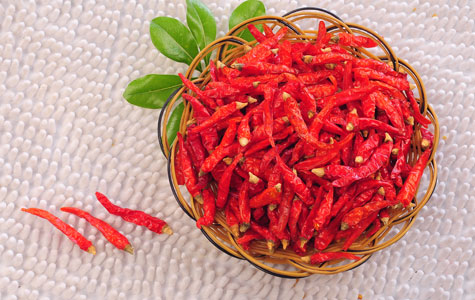 市场上销得好的朝天椒品种有哪些 匡老五辣业